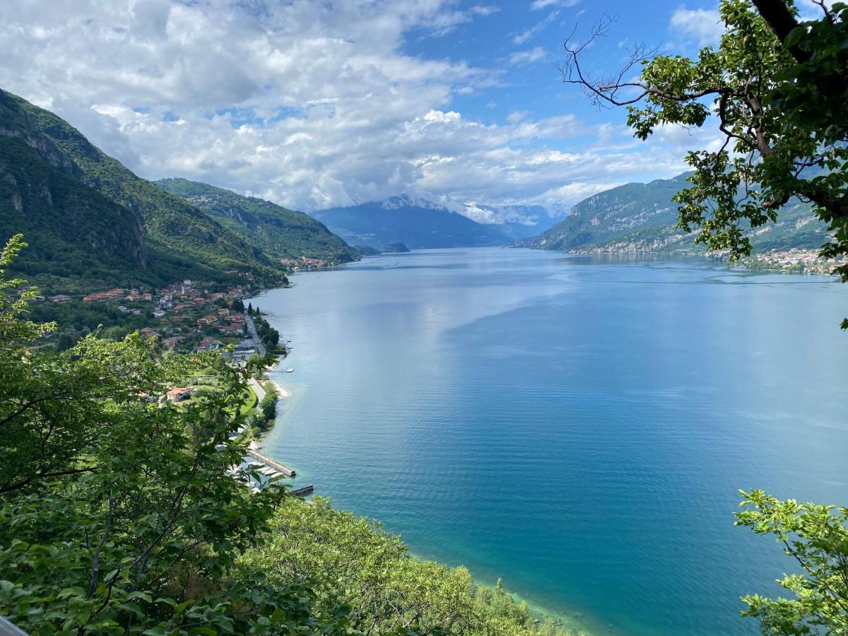 Le Terrazze Sul Lago Di Como Appartement Oliveto Lario Buitenkant foto